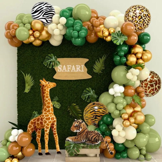 Balloon set  043